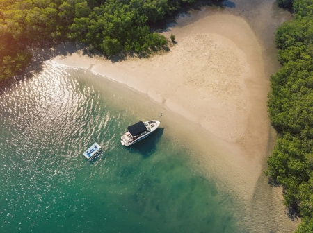 sea ray slx 260 image 4
