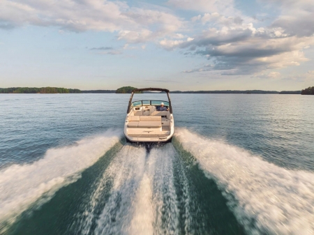 sea ray sdx 250 image 3