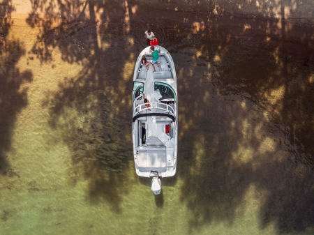 sea ray sdx 250 ob image 2