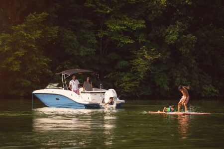 sea ray spx 230 ob image 1