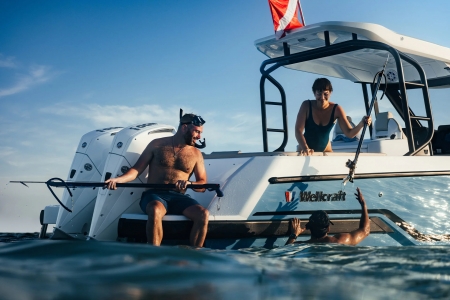 wellcraft 28 speedster image 4