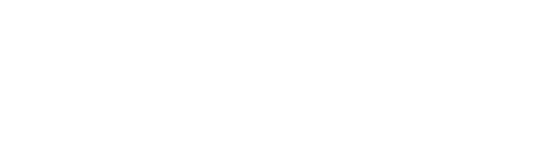 Beneteau Motor